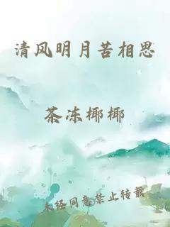 清风明月苦相思