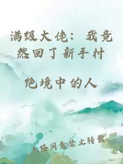 满级大佬：我竟然回了新手村