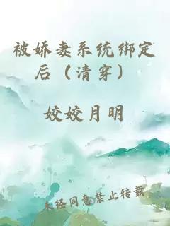 被娇妻系统绑定后（清穿）